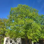 Semesterbostad Du Paradis Perdu Saint-Hilaire-de-Talmont