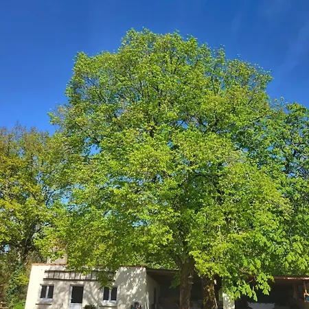 Σπίτι διακοπών Du Paradis Perdu Saint-Hilaire-de-Talmont