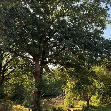 Du Paradis Perdu Сasa de vacaciones Saint-Hilaire-de-Talmont